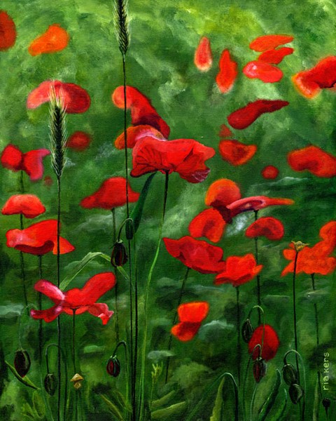 poppyfield
