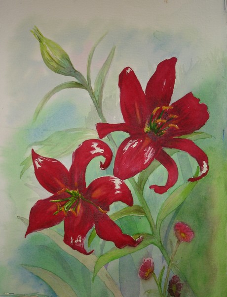 Flowers:  Vibrant Red Brilliance