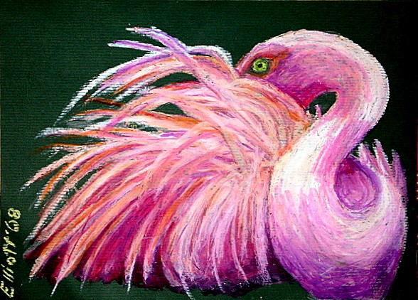 Flamingo