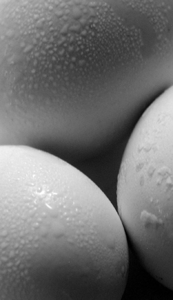Three Eggs