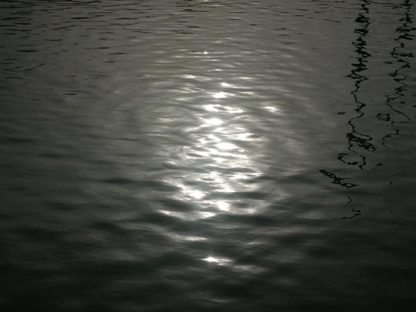 Feel the silence !!!