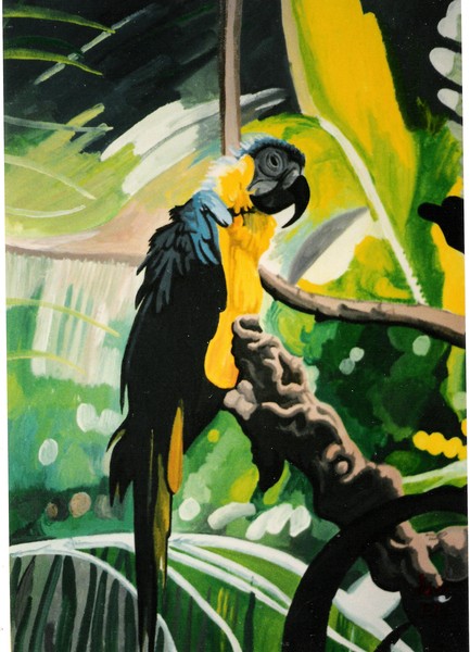 Parrot Jack