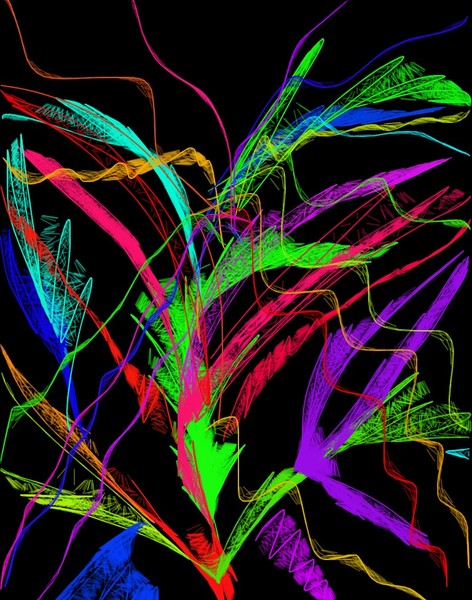 Color Feathers