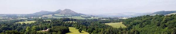 Scott's View - Summer