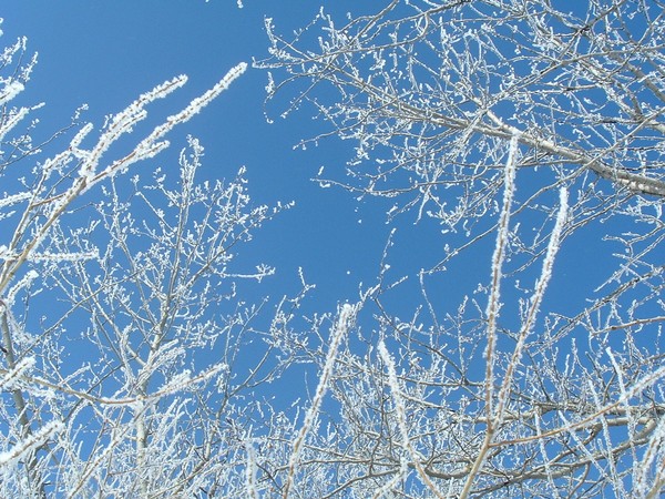 Just a little breeze and the sparkles come off..