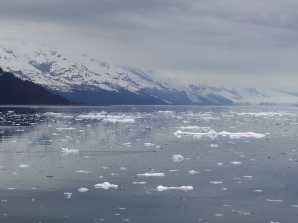 Looking for Glaciers