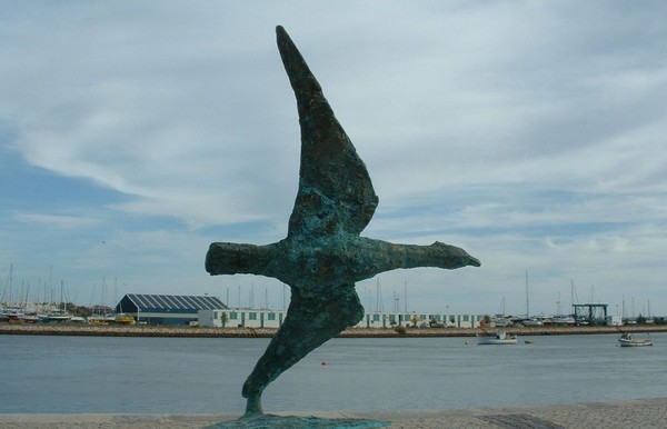 bird