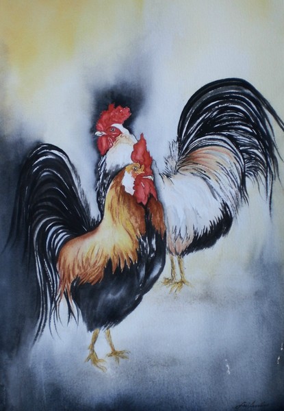 Rio Roosters