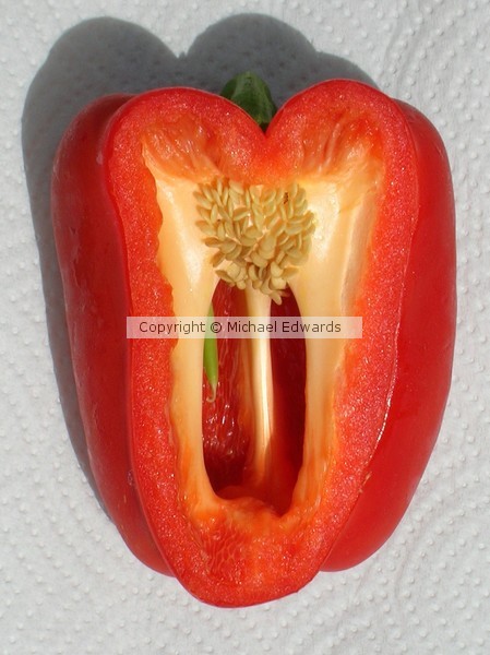 801 - Beautiful Red Pepper 1 (Photo/Print)