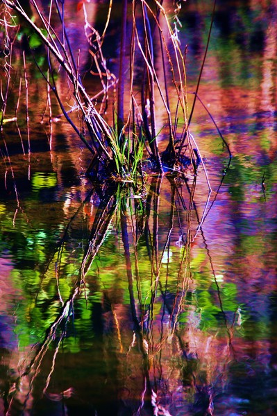 primordial
