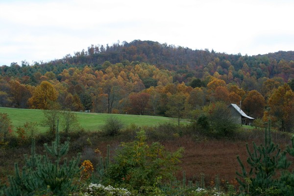 Nestled in the Blue Ridge Mountains