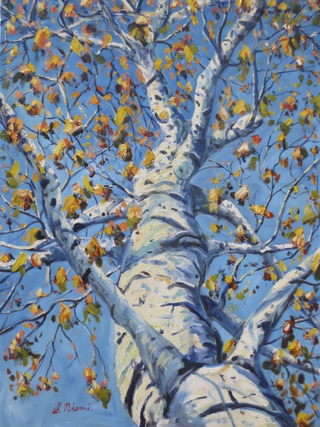 Birch View 