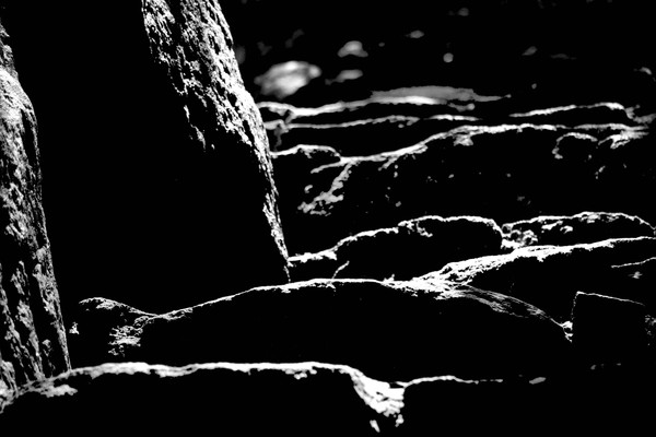 Black & wight 