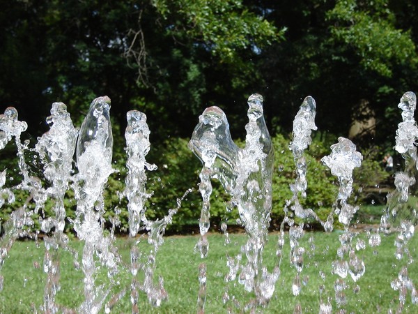 hp_photo2