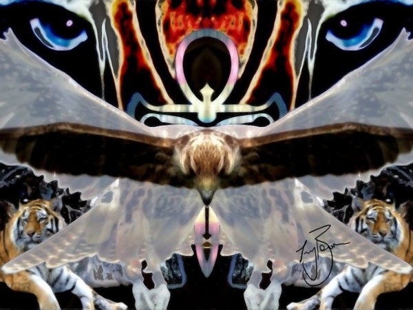 cat flie