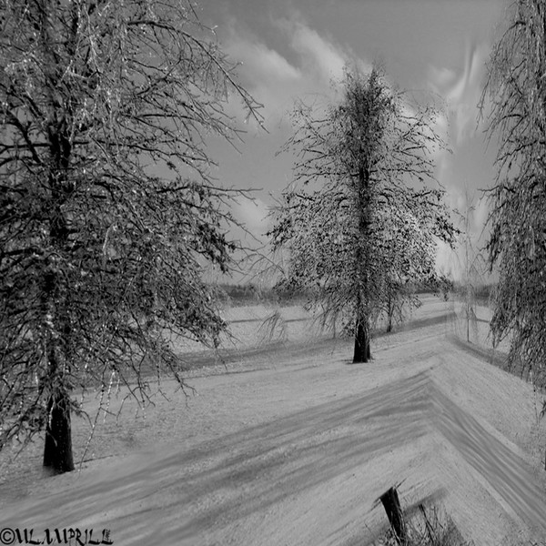 Winter scene