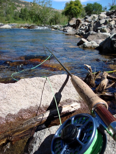 Fly Fishing Anyone?