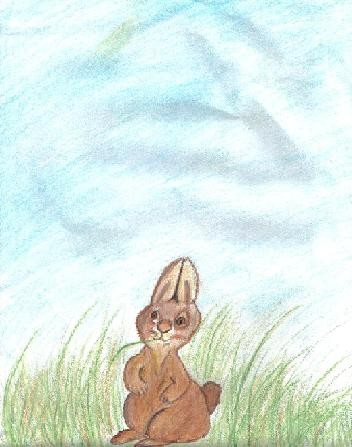 Bad Habit Rabbit