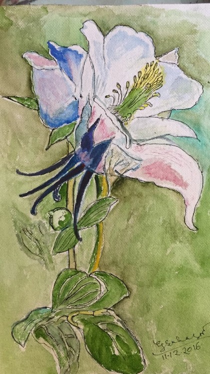 thumbnail IMG 5551