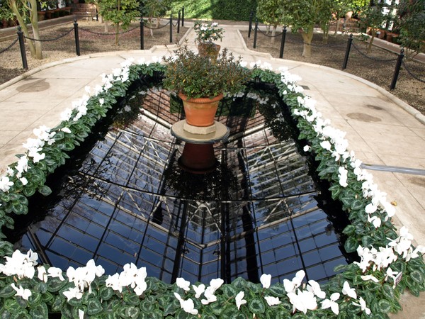 CAMELLIA HOUSE