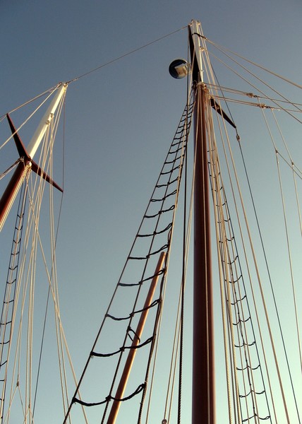 lashed to the mast