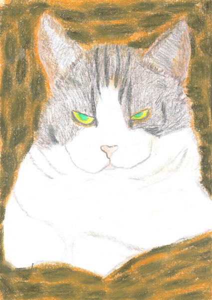 JASMINE MY CAT