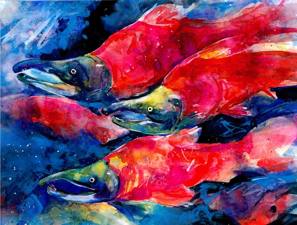 Salmon