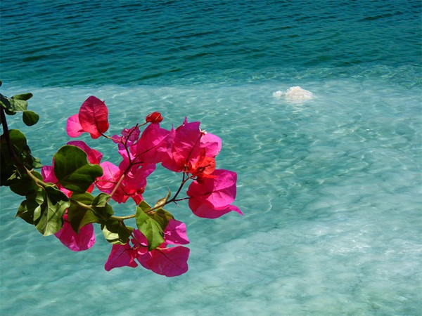 Dead sea