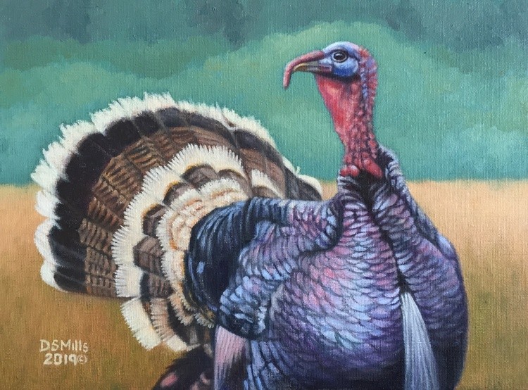 Tom Turkey