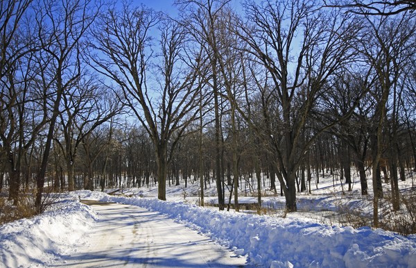 WINTER DRIVE