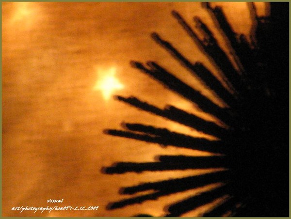 seasonal silhouette...