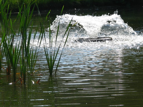 fountains of..(SERIES 2010)