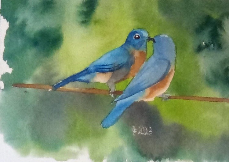 bluebirds
