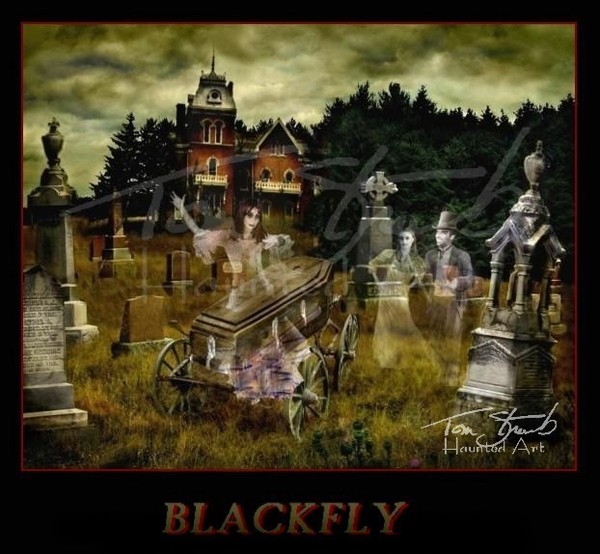Blackfly