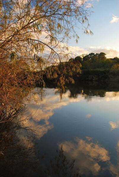Beautiful Severn