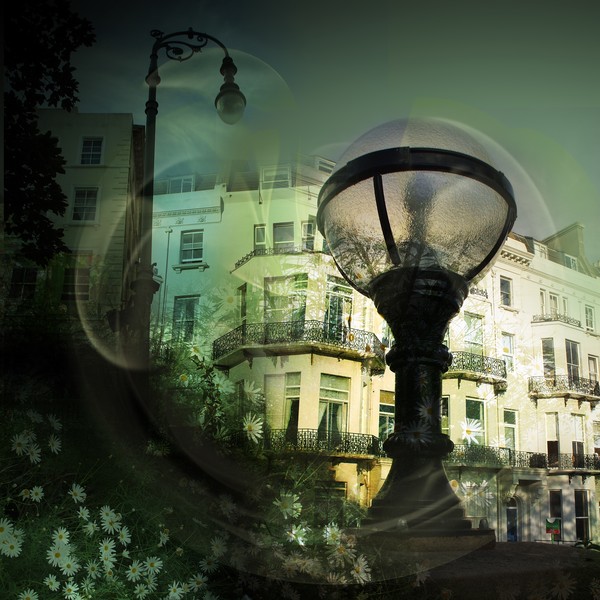 lamplight