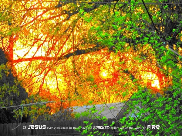 If Jesus ever shows back up have the roaches tell him we set the world on fire 2