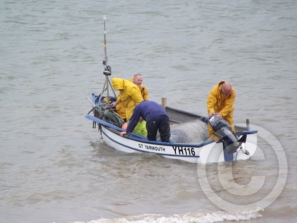 Norfolk.Crab.Fishermen