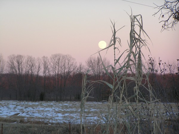 Full moon rising
