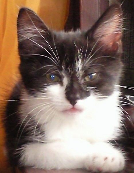 kassy