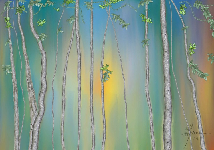 FOREST PATH-1 bak
