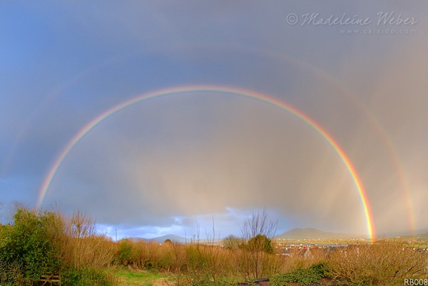 • A rainbow for Sophie  ( :