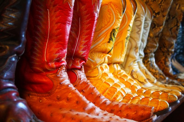 Boot Zoo
