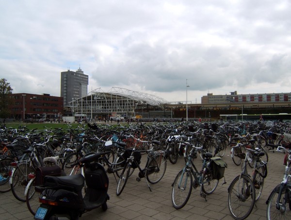 Field of bicycles