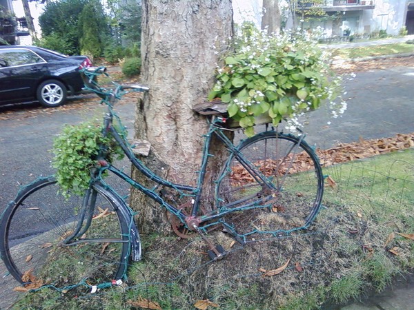 Cycle from Long Before