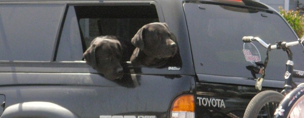 2 Labs
