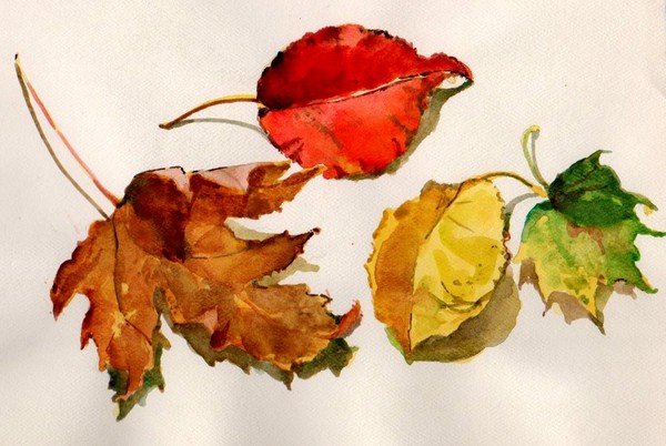 Random Leaves