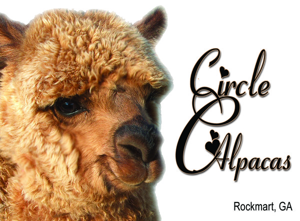 Circle C Alpacas_art for price tag