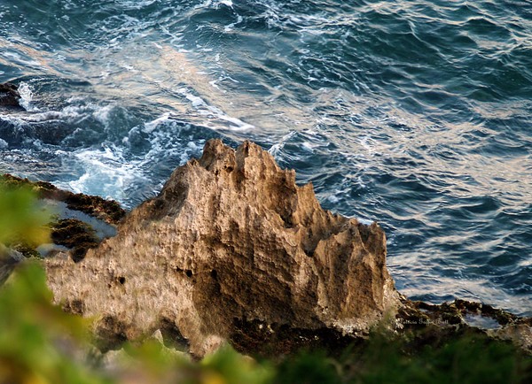 Nature's Sculptures IV