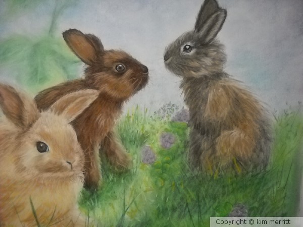 Christopher Bunny